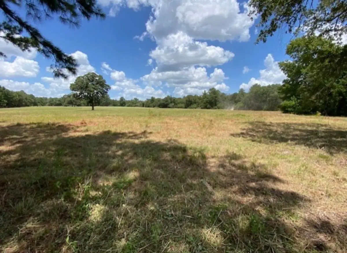 TBD County Road 114, Centerville, TX 75833 - Image #1