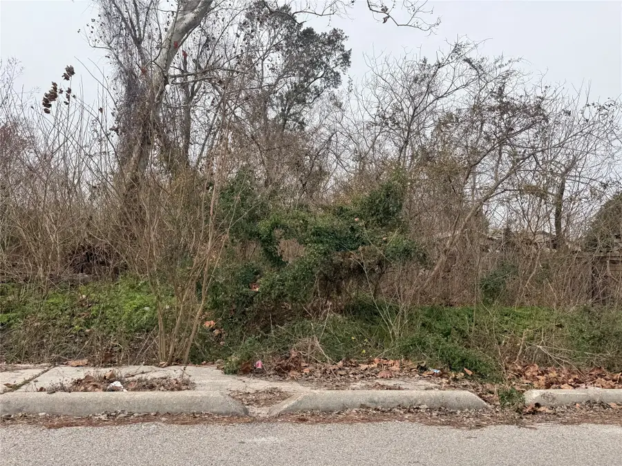 10311 Raymondville Road, Houston, TX 77093 - Image #2