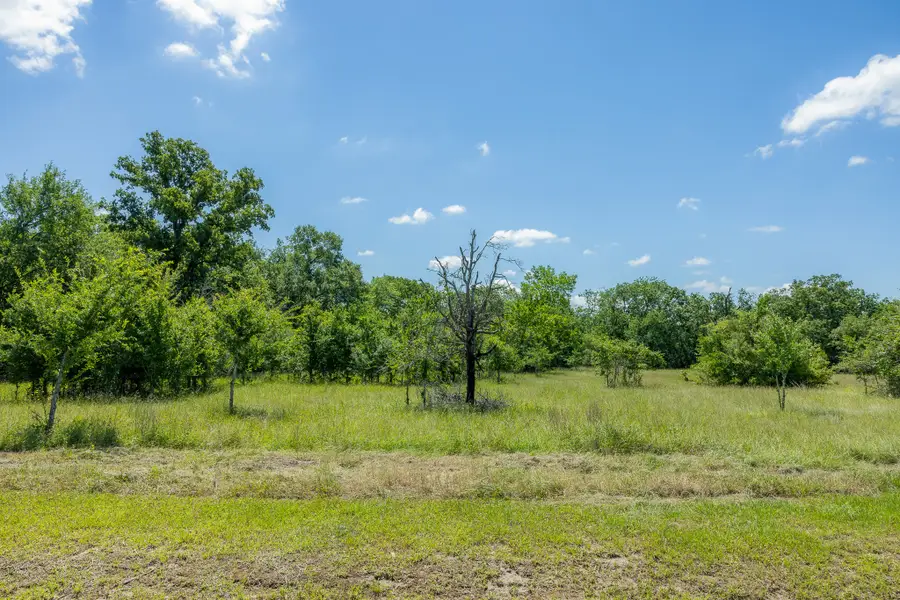 6584 Atakapan Trail, Bedias, TX 77831 - #2