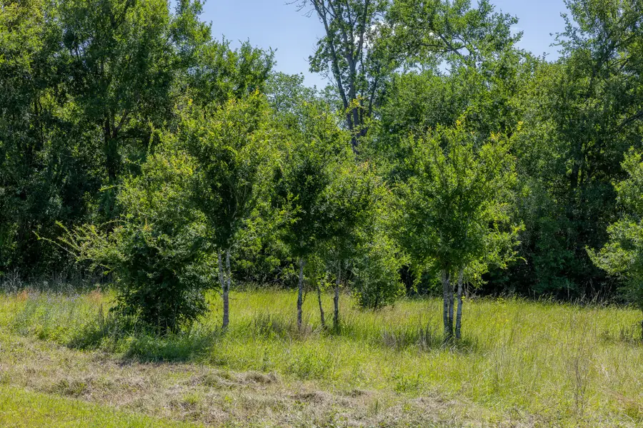 6584 Atakapan Trail, Bedias, TX 77831 - #3