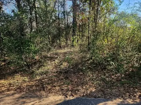 0 Bonner Ferry Rd, Elkhart, TX 75839 - Image #3