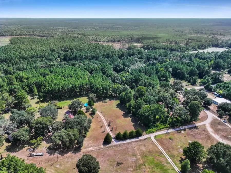 4099 Sumrall Lane, Village Mills, TX 77663 - #2
