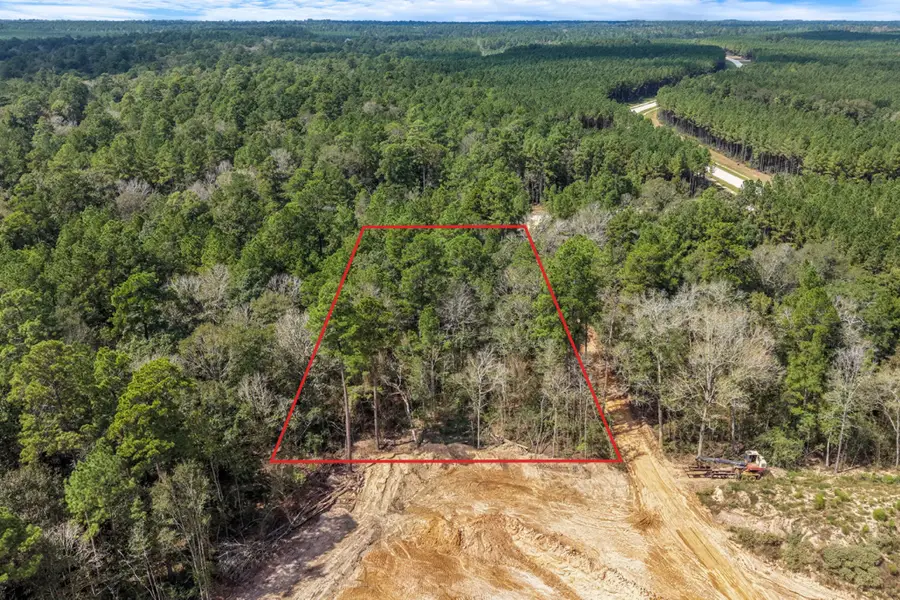 12109 Dawn Tree Lane, Willis, TX 77378 - #3