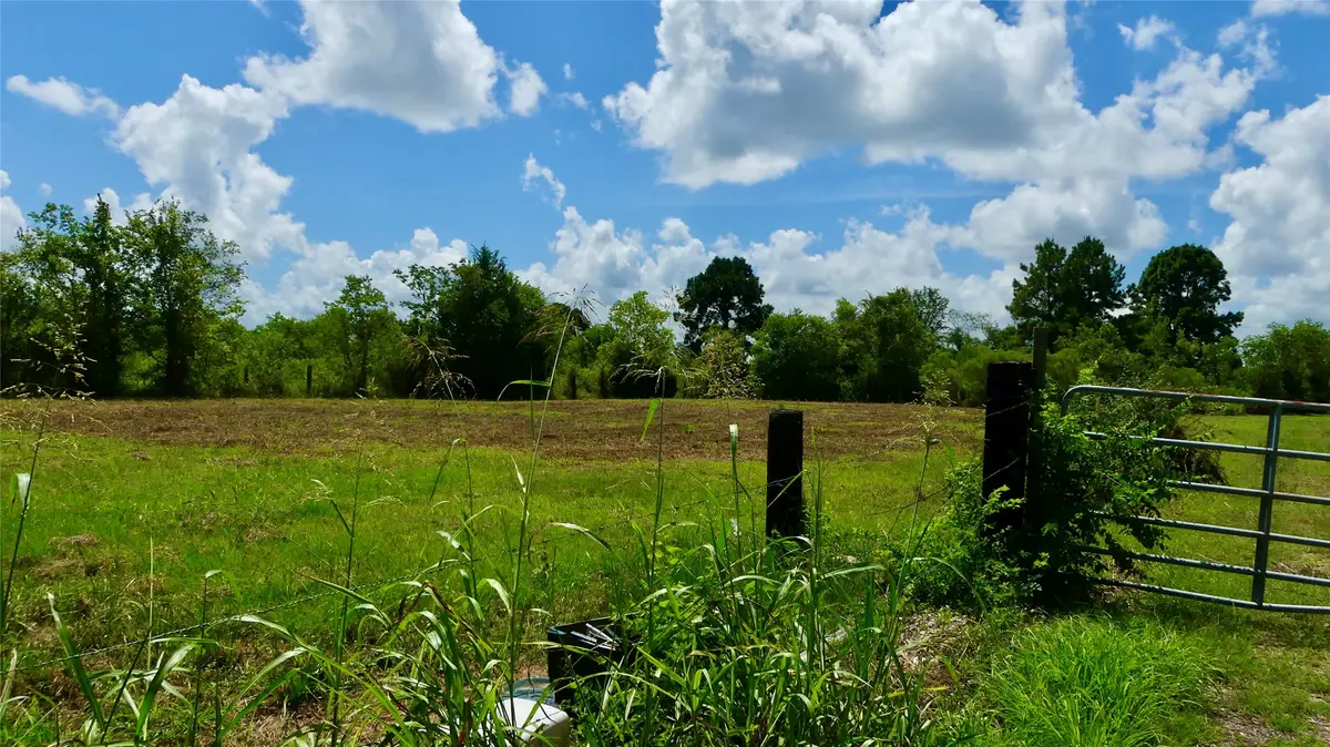7806 Mckeever Road, Pearland, TX 77584 - #1