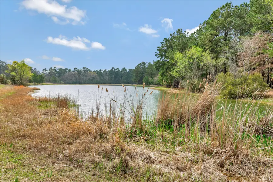 26500 Saddle Horn Drive, Waller, TX 77484 - Image #2