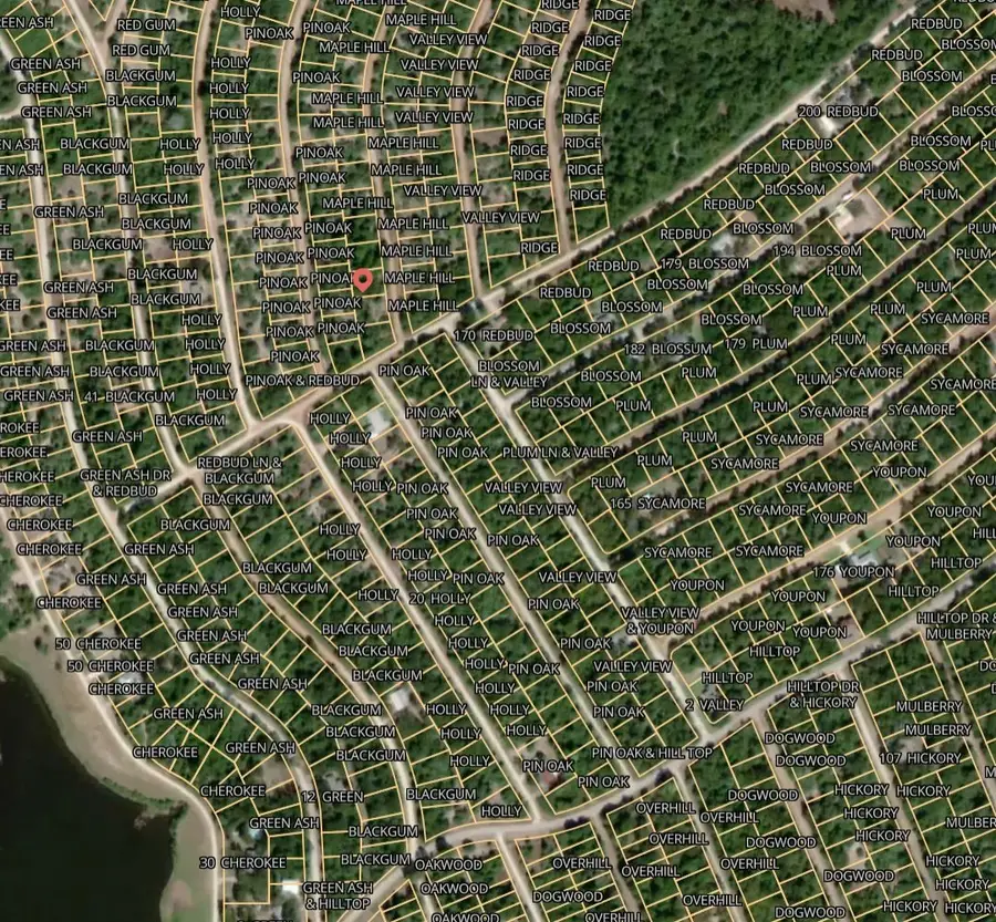 Lot 12 Maple Hill Lane, Normangee, TX 77871 - Image #3