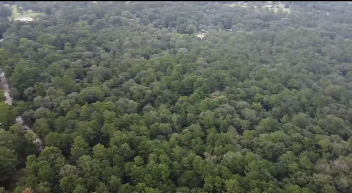 00 Old Phelps Road, Huntsville, TX 77340 - Image #1