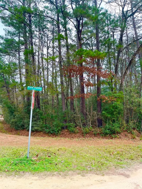 TBD Pine Valley Drive, Shepherd, TX 77371