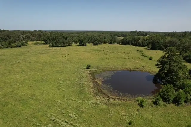 882 Jones Road, New Waverly, TX 77358 - #2