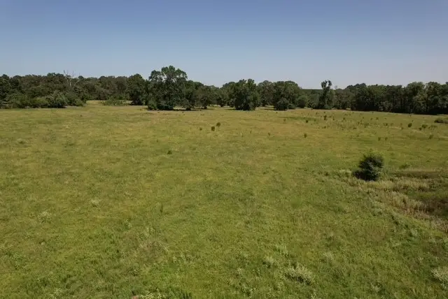882 Jones Road, New Waverly, TX 77358 - #3