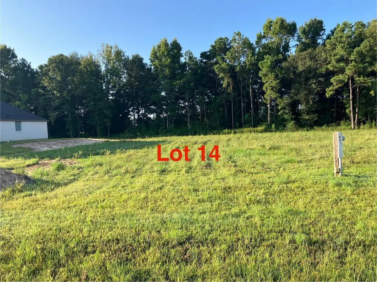 1031 Tarkington Timbers Drive, Cleveland, TX 77327 - #1