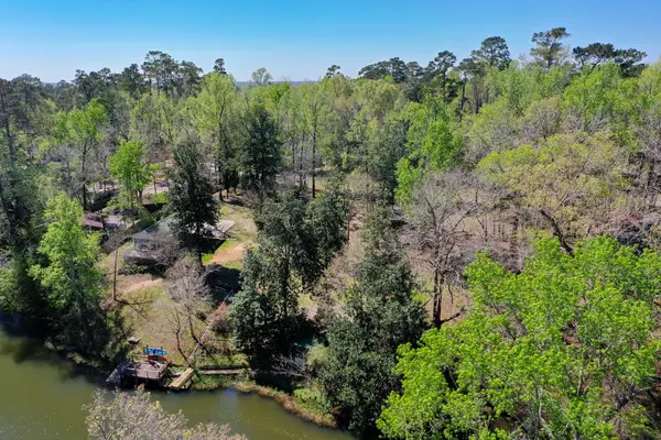 412 Driftwood Drive, Goodrich, TX 77335