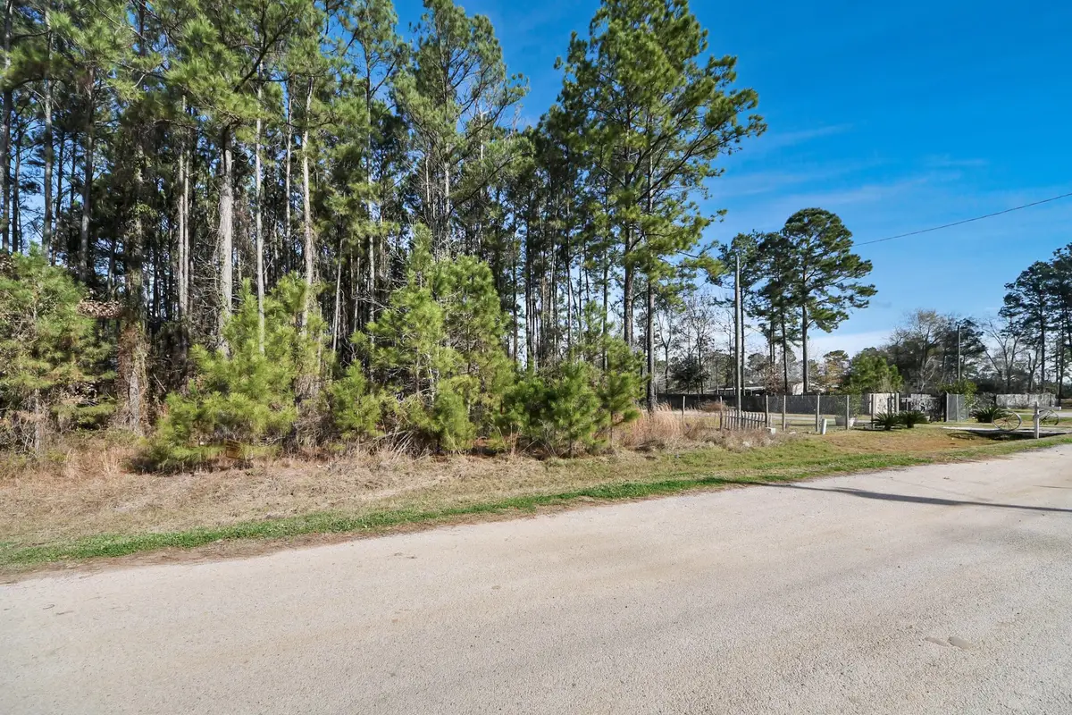 1319 County Road 3479j, Cleveland, TX 77327 - Image #1