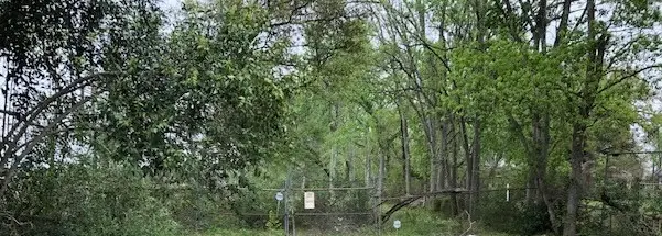 6121 Carson Road, Houston, TX 77048 - #1