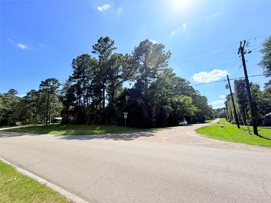 194 Oak Hollow Boulevard, Magnolia, TX 77355 - #2