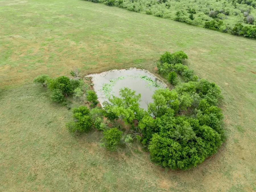 523 Lcr 667, Kosse, TX 76653 - #3