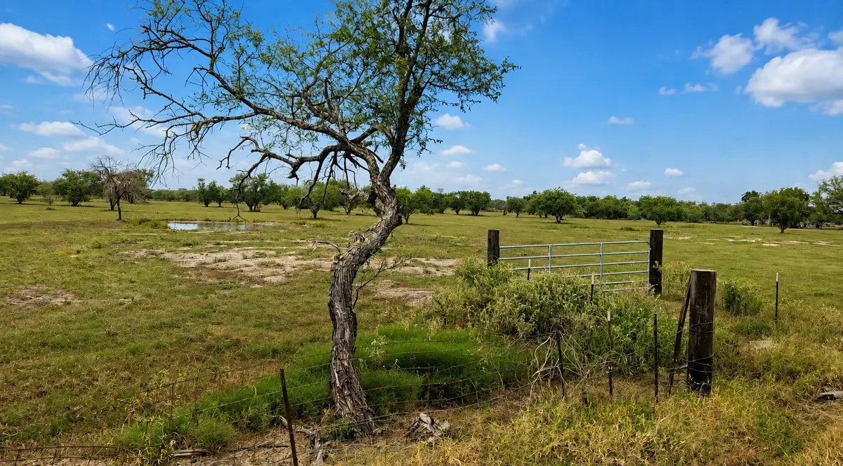 13530 Moody Road, Needville, TX 77461 - #1