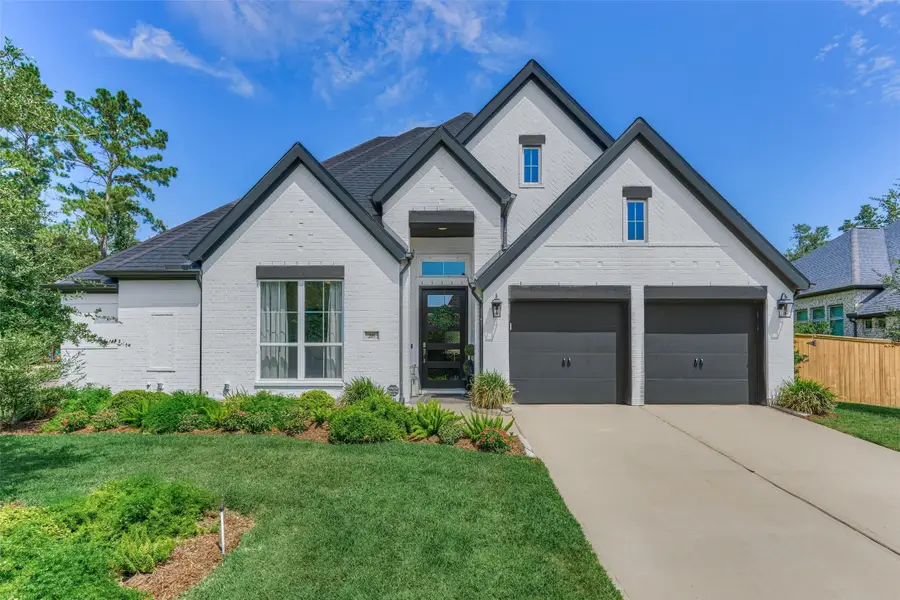 205 Patina Sorrel Drive, Montgomery, TX 77316 - #2