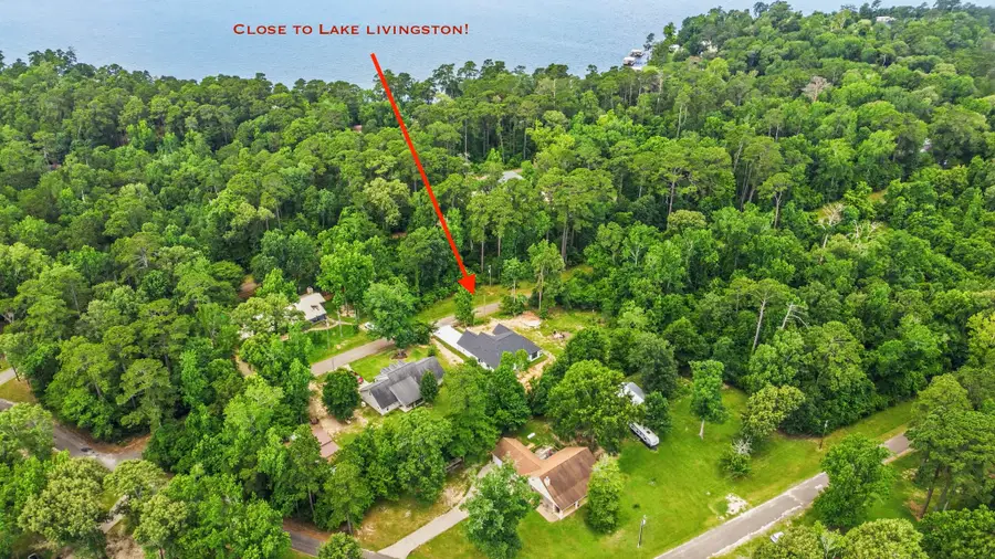 162 Holly Crst, Livingston, TX 77351 - #3
