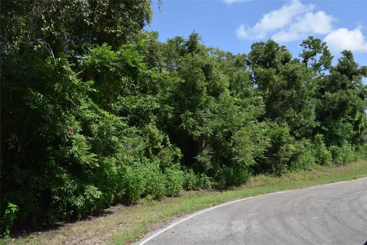 0 Colony Drive, Angleton, TX 77515 - #1