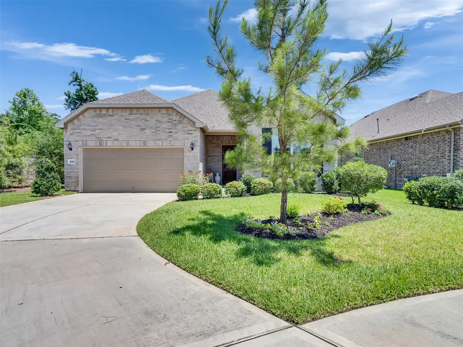 223 Spotted Saddle Court Court, The Woodlands, TX 77382 - #2