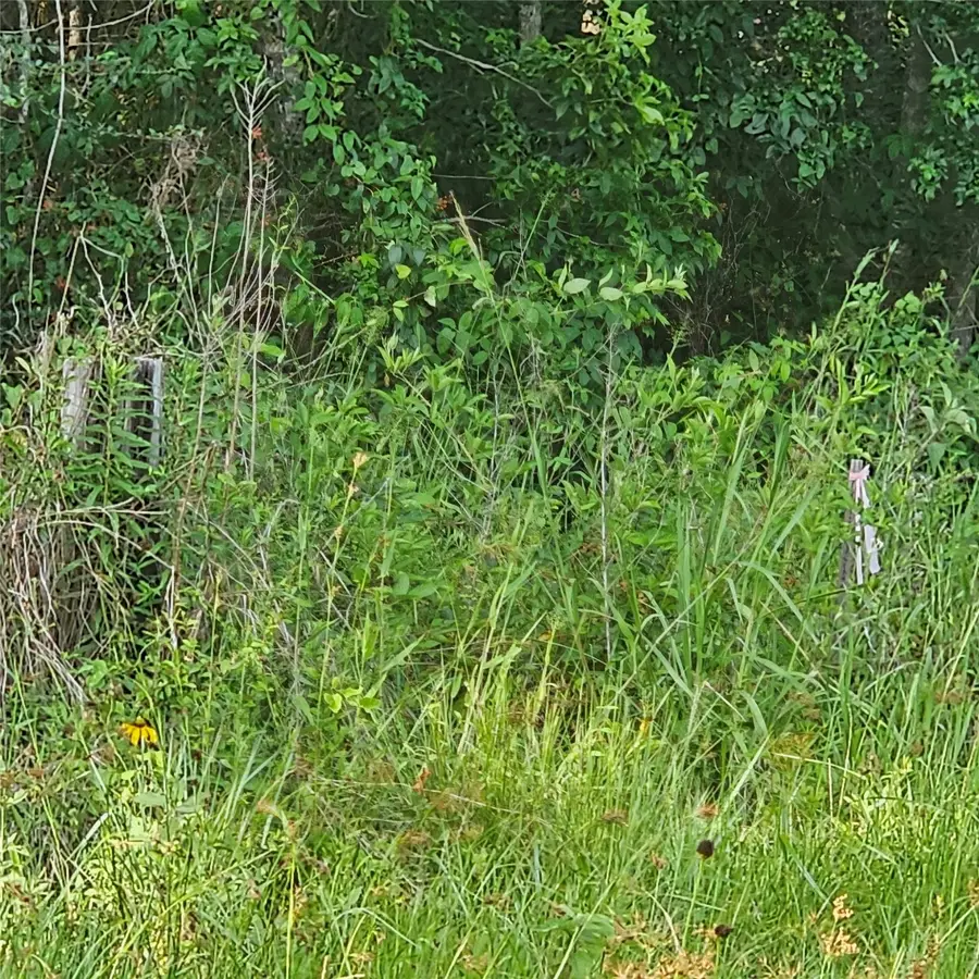 0000 Tx-105, Hull, TX 77564 - Image #3