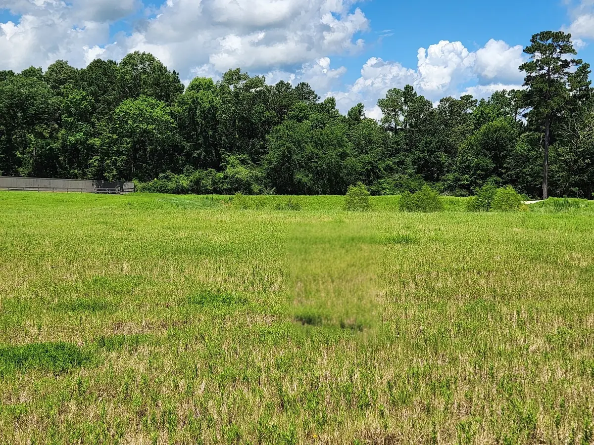 12855 Bentwood Farms Trace, Montgomery, TX 77356 - #1