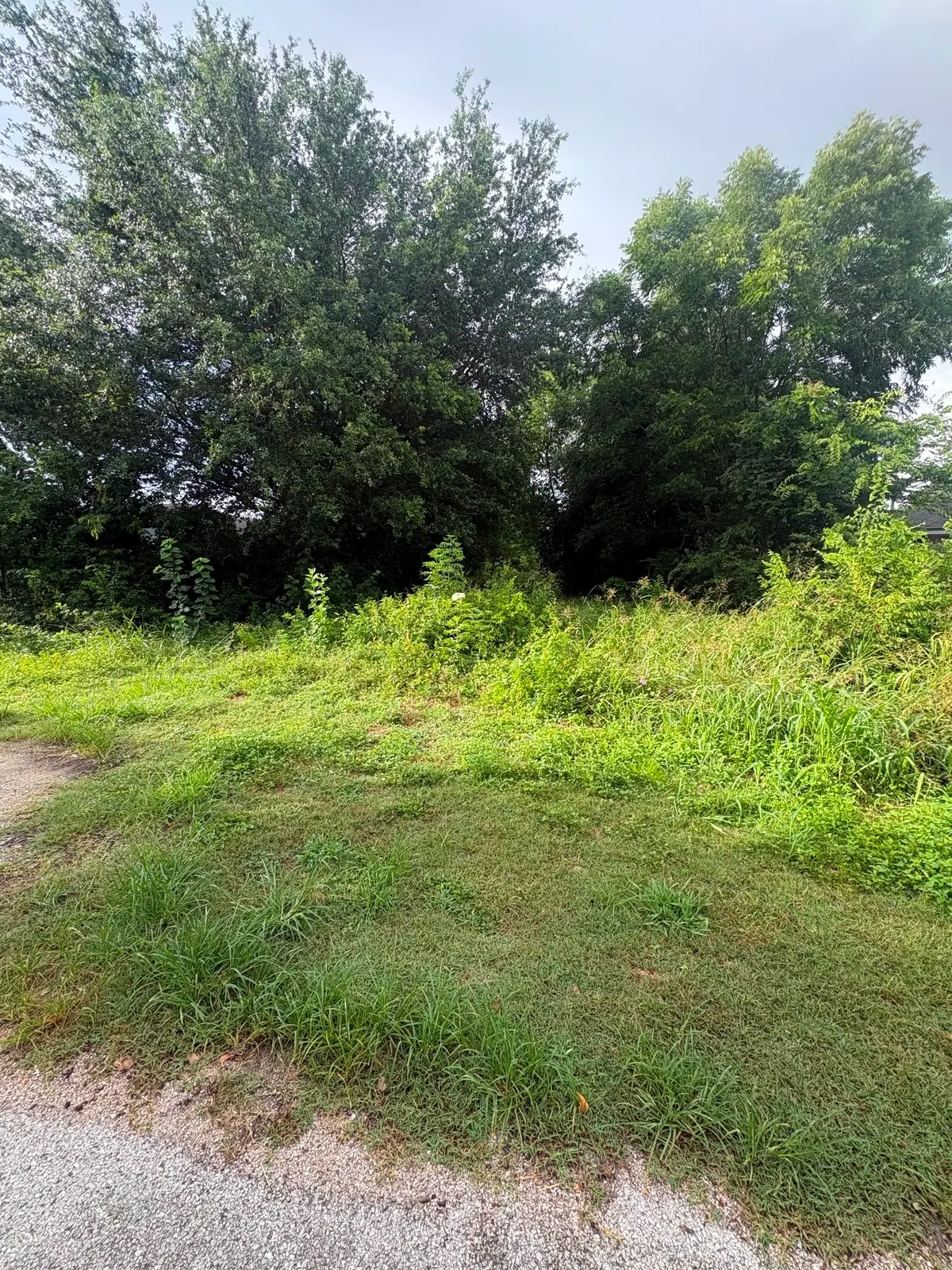 0 Botany Lane, Houston, TX 77075 - #1