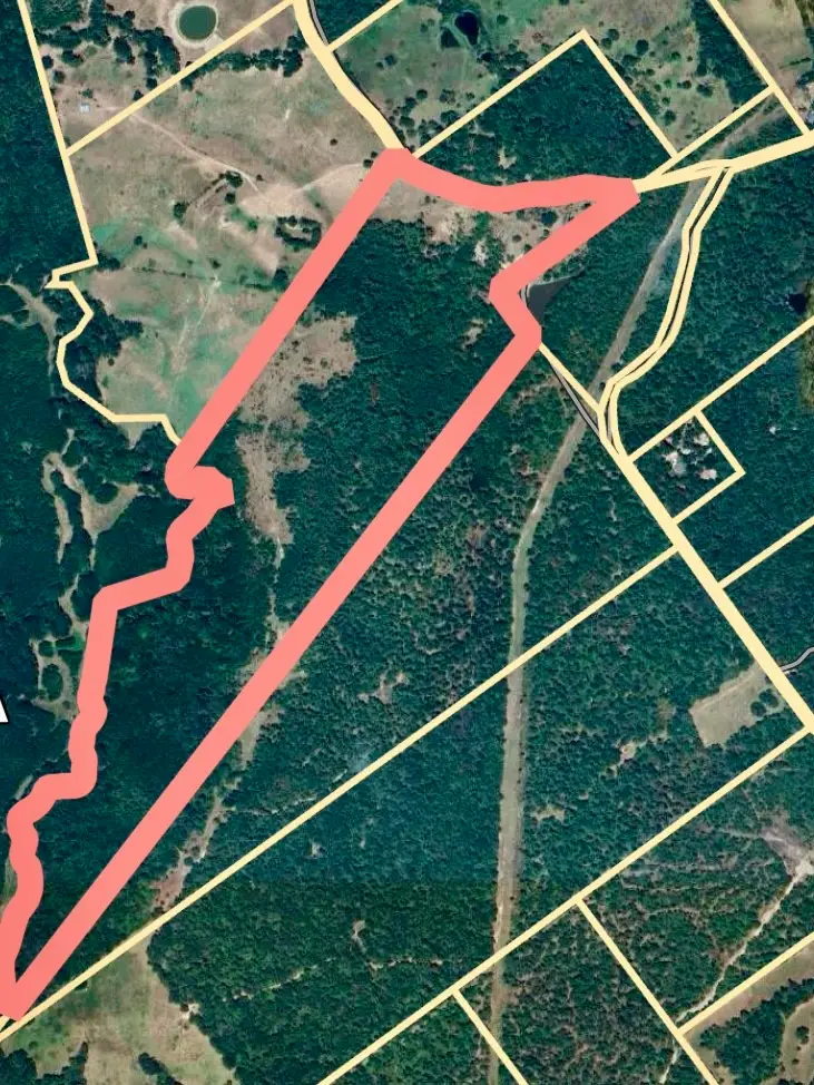 TBD Cr4120, Lovelady, TX 75851 - Image #1