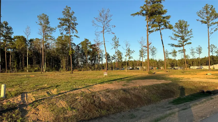 20039 Kincaid Drive, Conroe, TX 77306 - Image #3