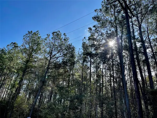 6 +/- Acs Cr 3400, Colmesneil, TX 75938