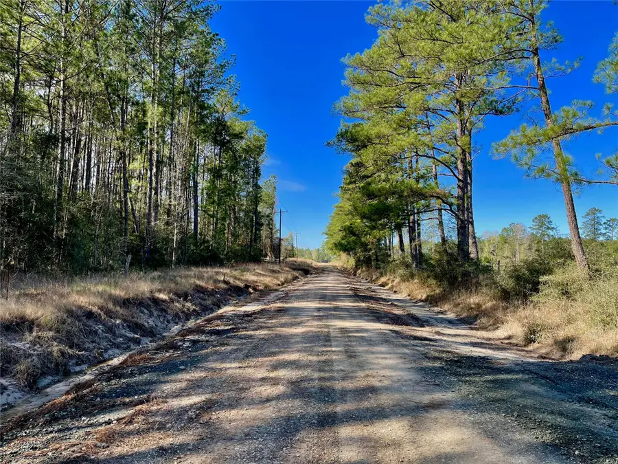 6 +/- Acs Cr 3400, Colmesneil, TX 75938 - Image #3