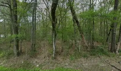 1555 Cherokee Street, Vidor, TX 77662 - #3