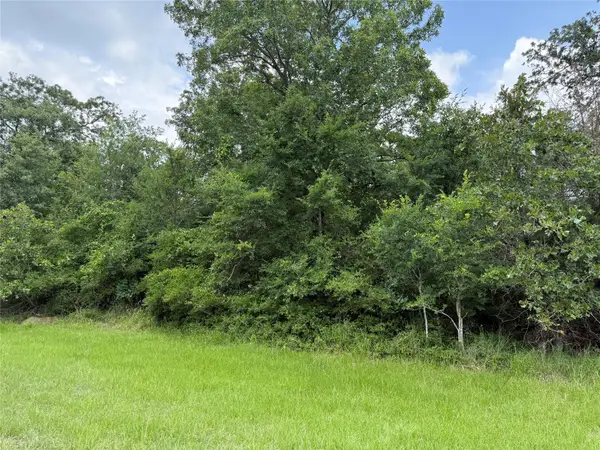 0 Lake Wood Drive, Marquez, TX 77865