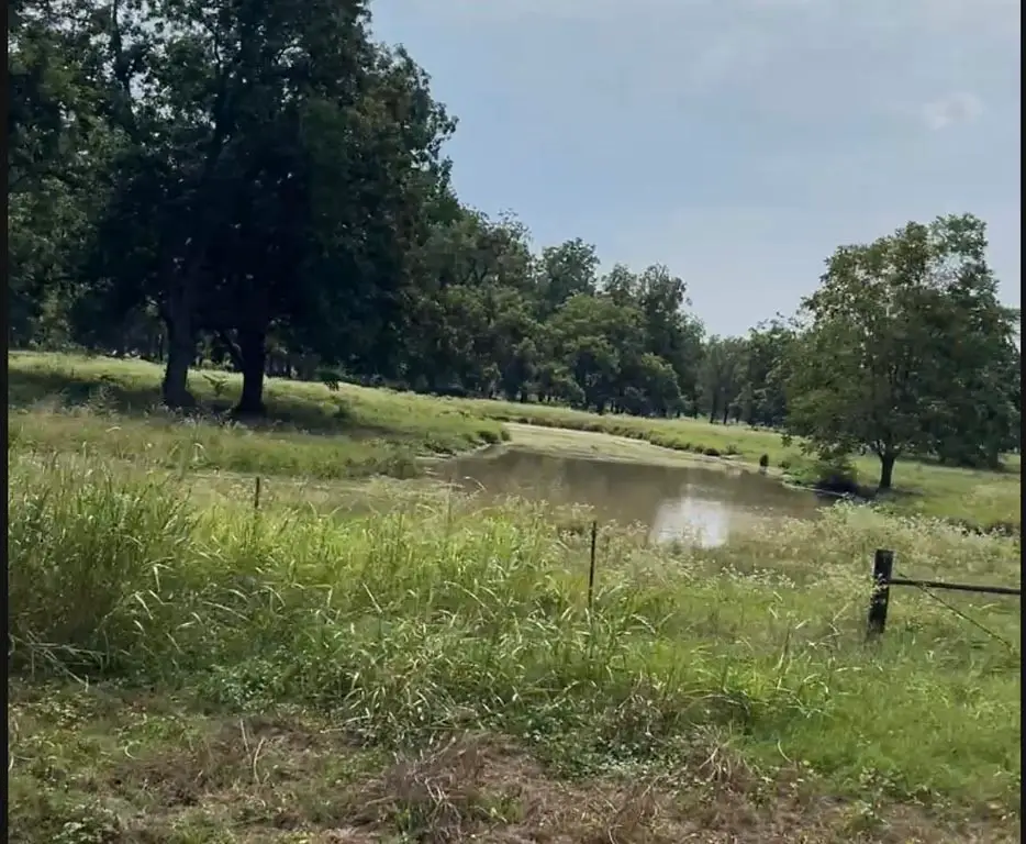 Tract #4 Fm 2548, Midway, TX 75852 - Image #1