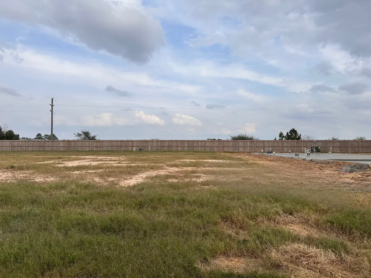 3910 Downy Birch Lane, Houston, TX 77084 - Image #1