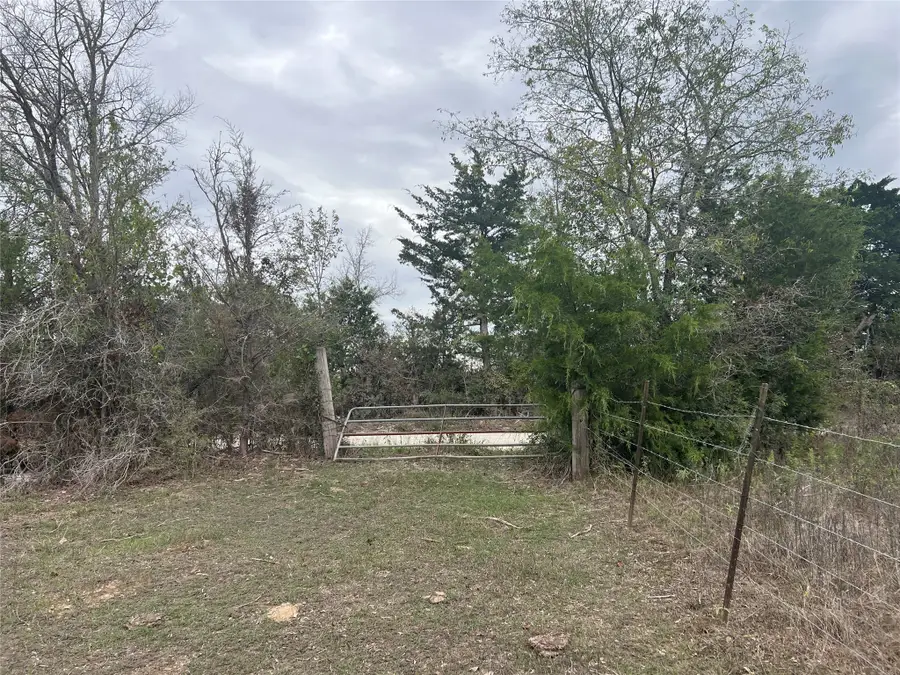 Lot 4 County Road 166, Iola, TX 77861 - Image #3