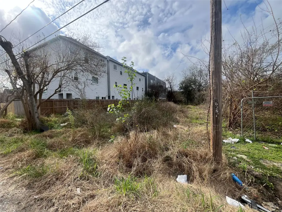 3016 Mcilhenny Street, Houston, TX 77004 - #2