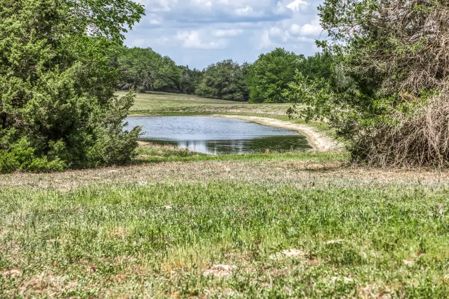 Parcel 2 Fm 1697, Carmine, TX 78932 - #3