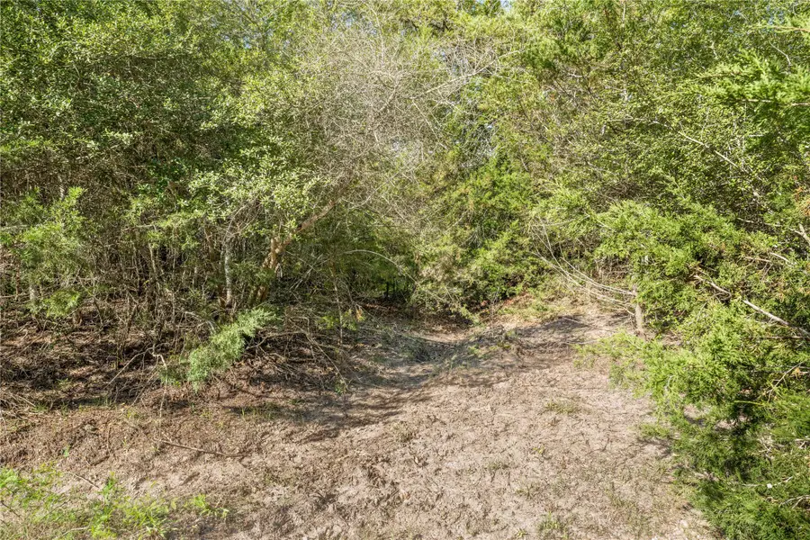 7358 Taplin Lane, Burton, TX 77835 - Image #3