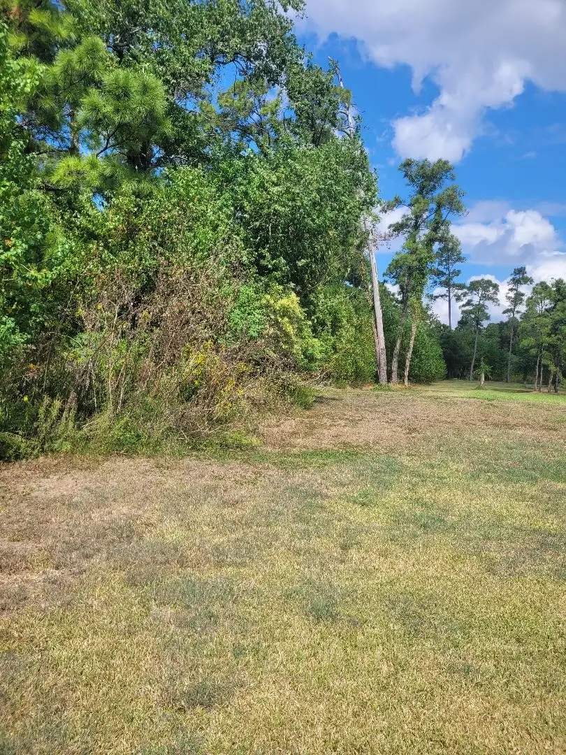 00 S Country Club Drive, Shoreacres, TX 77571 - Image #2