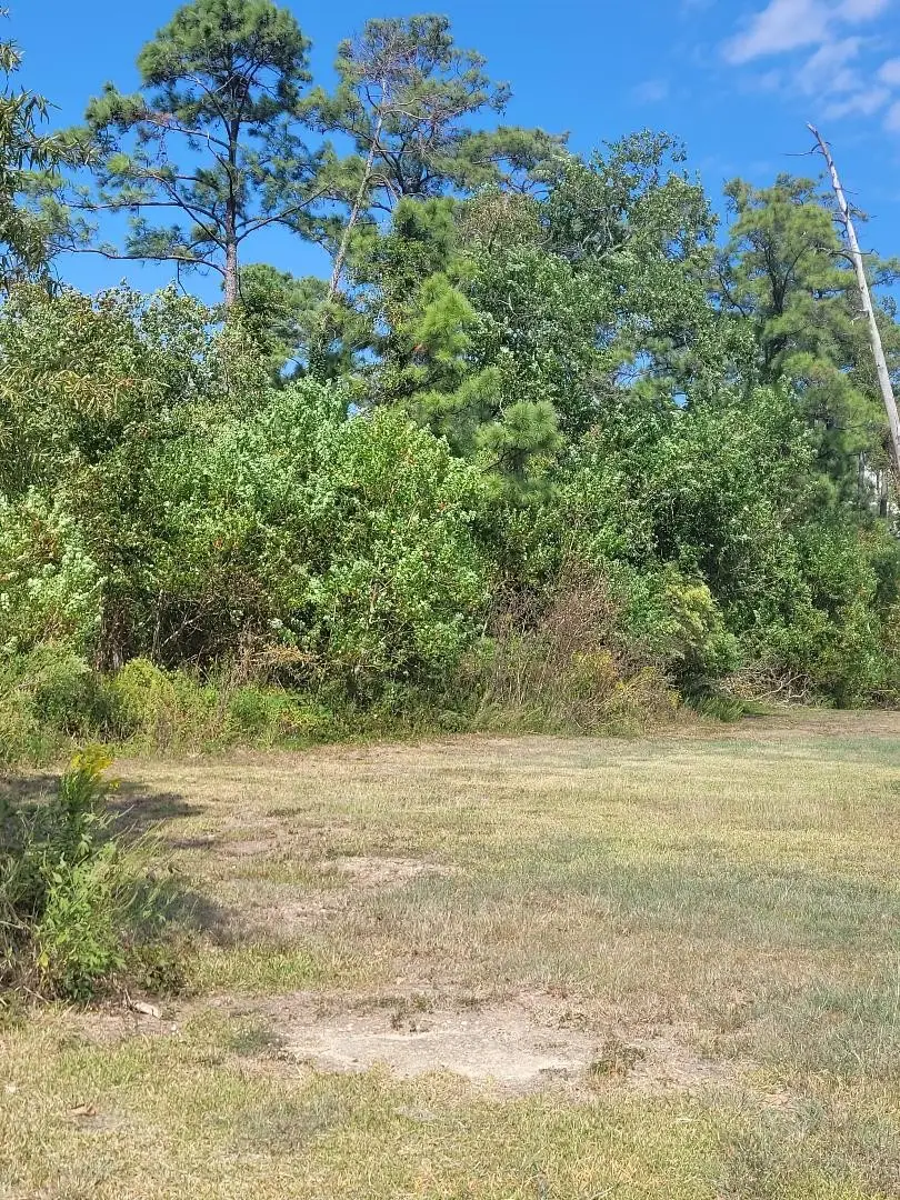 00 S Country Club Drive, Shoreacres, TX 77571 - Image #3