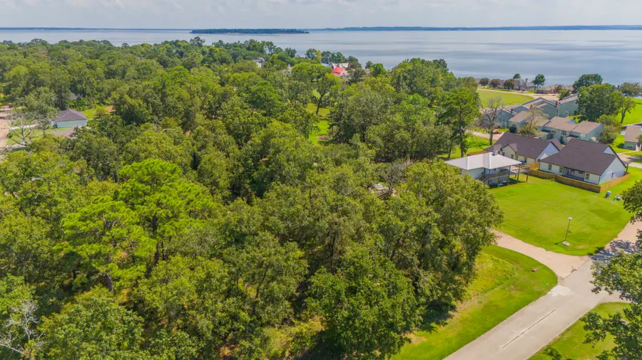 00 Deep Woods Lane, Livingston, TX 77351 - #2