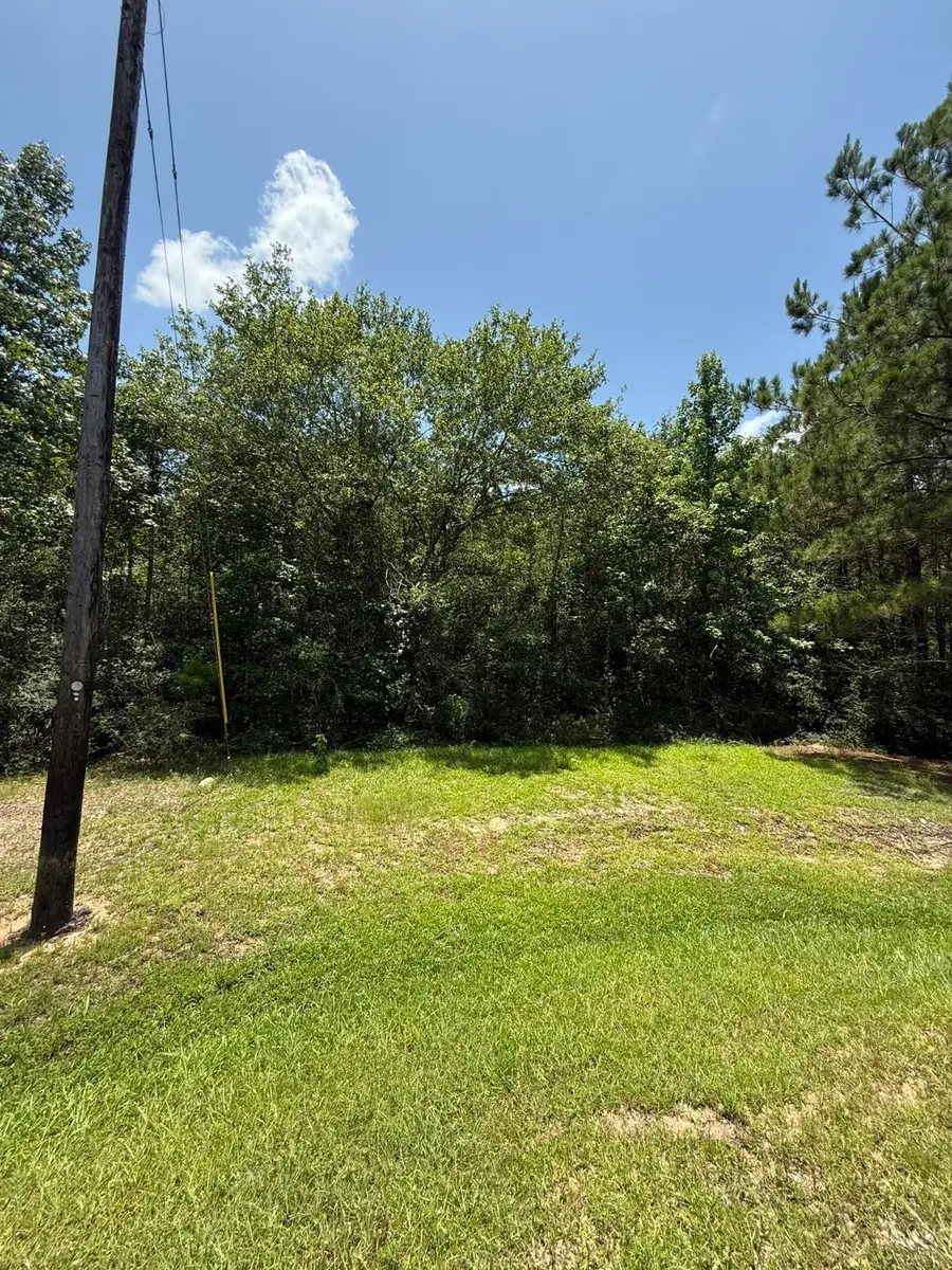 17655 Julianne Drive, Waller, TX 77484 - Image #2