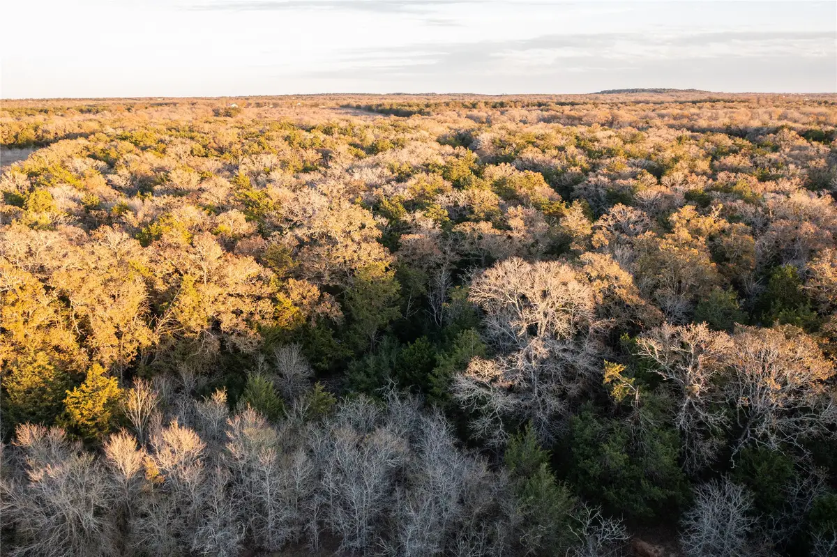 0000 TBD 21+/- Ac Grassyville Road, Paige, TX 78659 - Image #1