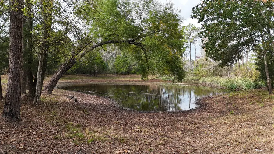 190 Andrea Lane, Coldspring, TX 77331 - Image #2