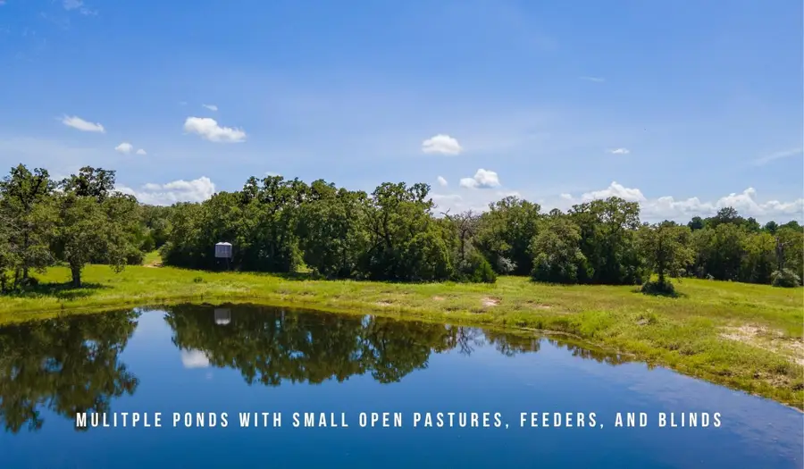TBD County Road 405 - 839 Acres, Lexington, TX 78947 - #2