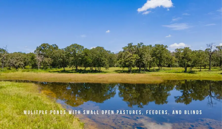 TBD County Road 405 - 839 Acres, Lexington, TX 78947 - #3