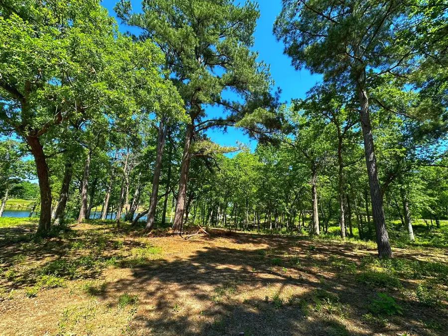 Tract 152 Pr 1311, Centerville, TX 75833 - #2