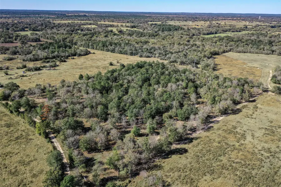 00 Booker Road, Huntsville, TX 77320 - Image #2